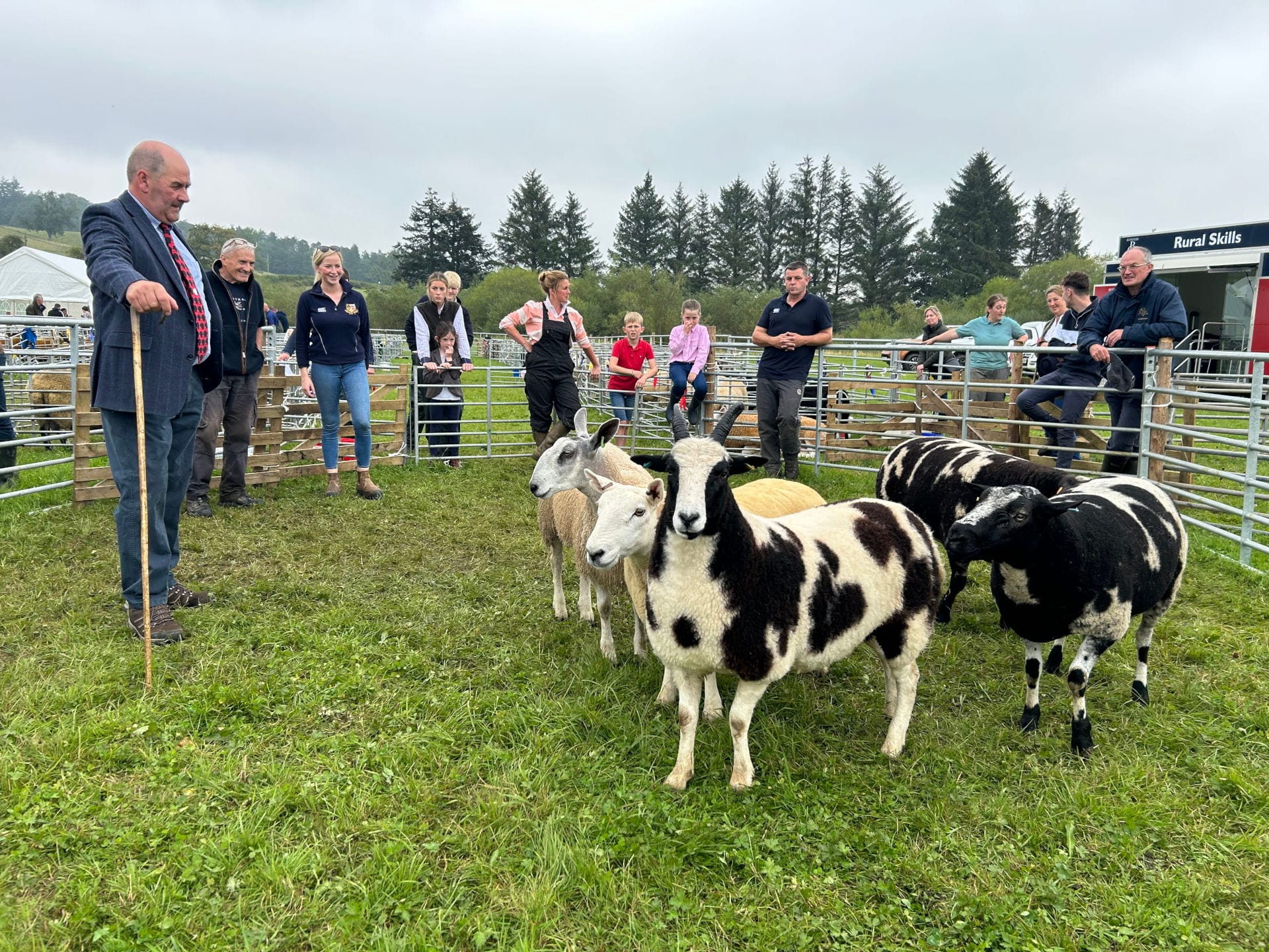 Roberton Show