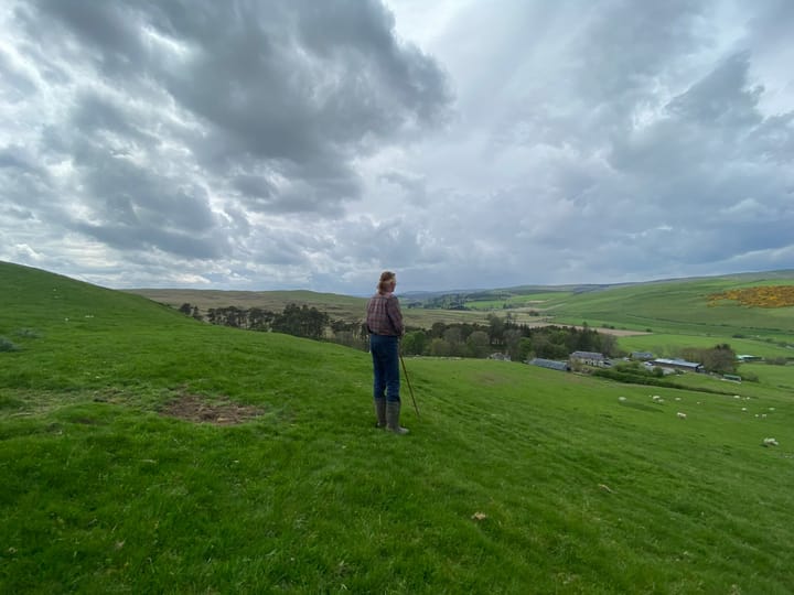 Shepherding