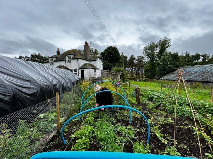 Kitchen Garden